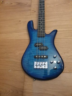 Spector Legend Standard 1 Jahr alt