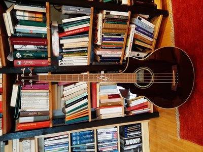 ibanez front.jpg