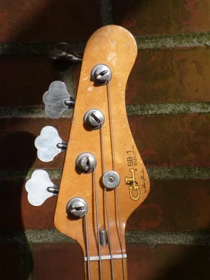 G&amp;L SB-1 hier kompr. 3.webp