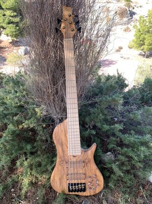 IMG_20220113_132212.thumb.jpg.3016ddb4733c68ced7e52239572e09db (1).jpg