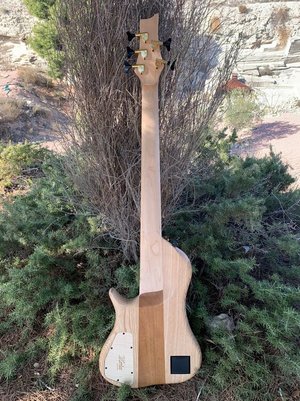 IMG_20220113_132135.thumb.jpg.de213ca49324ca56e7ca1161c3976fc8 (1).jpg