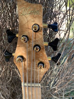 IMG-20220113-WA0023.thumb.jpg.7ed3600d6a4b609943adf73bc24a008c (1).jpg