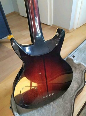 vulture bass3.jpg