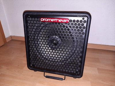 RESERVIERT: Ibanez Promethean P3110