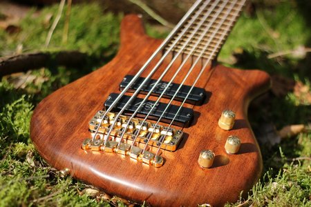Warwick Thumb NT6 1991 Bass Guitar - Wenge/Bubinga