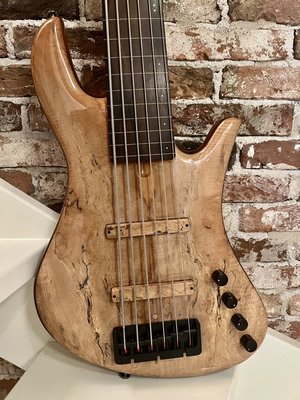 Noguera 6 string fretless....