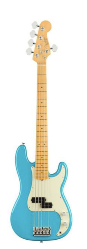Fender AM Pro 2 - 5 String Bass gesucht