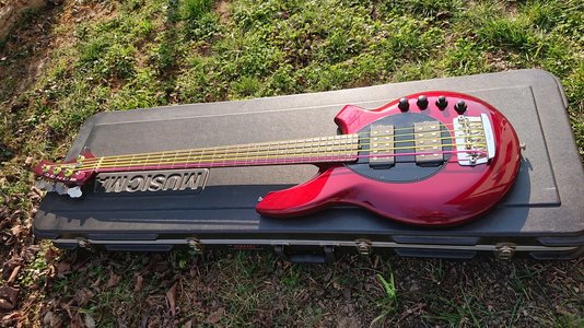 Musicman Bongo 5 HH bass