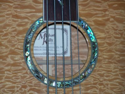 Akustik Fretlessbass Michael Kelly Dragonfly 5 NA