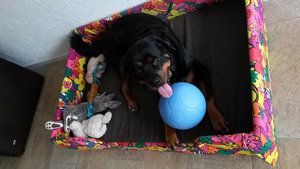 20140823_105129.jpg 20140823_105129.jpg