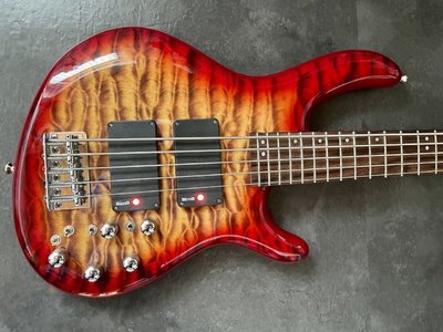 RESERVIERT: Cort 5-String Sims Super Quad Pickups