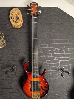 Pedulla MVP 5 3500 Eur. inkl shipping (in EU)