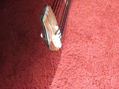 IMG_20220421_114322065.jpg