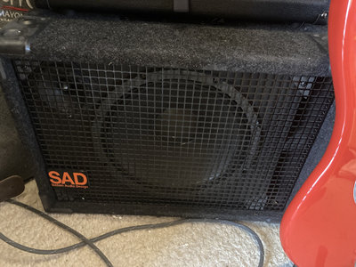 SAD 1x12 Box mit regelbarem Hochtöner, 8 Ohm 300 Watt