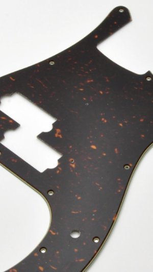 suche Precision Pickguard brown shell