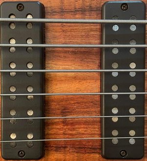 Nordstrand Pickups 6 String bass