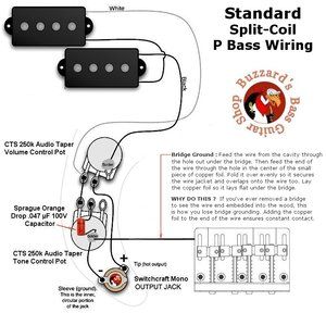 Precision split-coil-pbass.jpg Precision split-coil-pbass.jpg