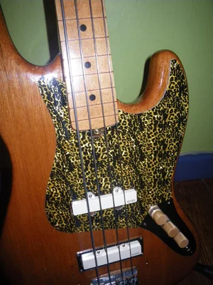 IMGP0122 (Copy).webp