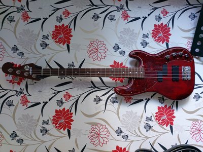 Hotwire medium scale Bass auch Tausch