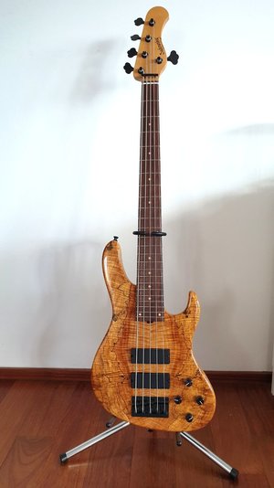 Sadowsky NYC Modern 5-24