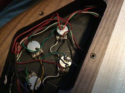 Spector LE guts.jpeg Spector LE guts.jpeg