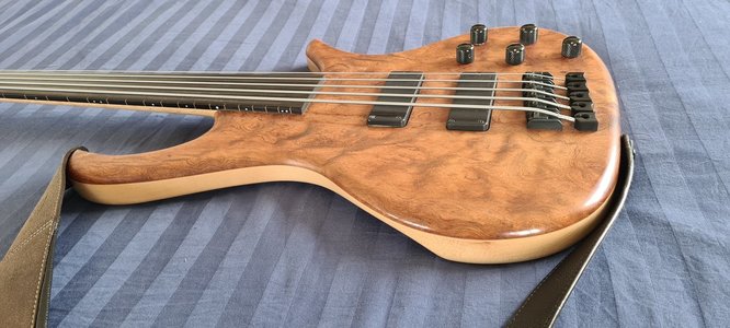 Human Base Jonas 5-string fretless