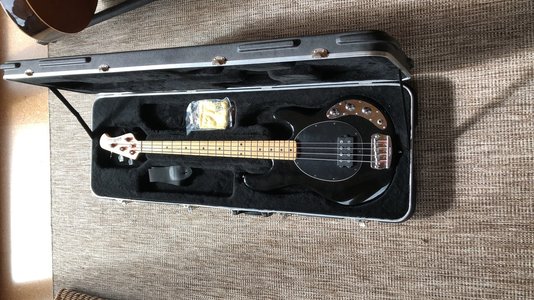 VERKAUFT  Music Man Stingray