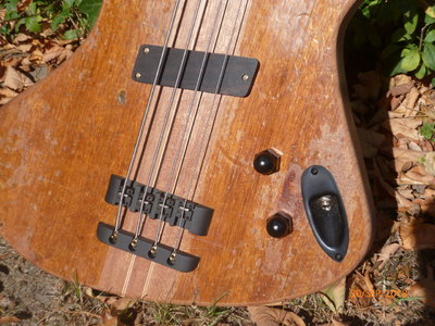 OL opus 49 first shots -3.JPG