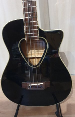 Hohner TWP 600 B Akustikbass (Korea) inkl. Gigbag