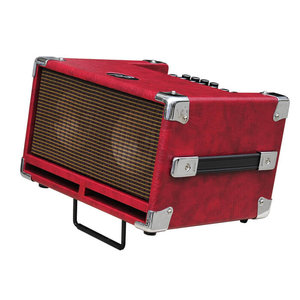 Phil Jones Bass Cub BG-100 Basscombo