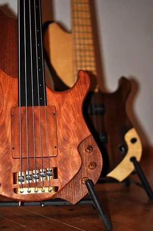 fretless2.webp