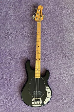 Suche Musicman Stingray