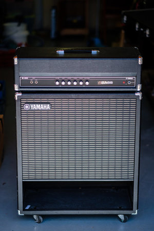 Yamaha B100 plus 15" Box