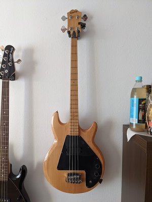 Feeler: Epiphone Ripper Bass