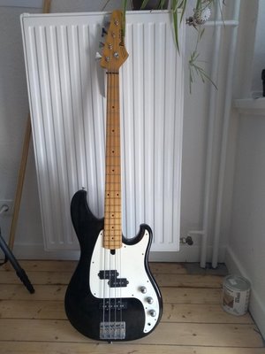 [Reserviert] Verschenke Ibanez Blazer