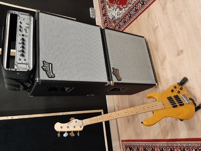 Aguilar DB359 & DB410