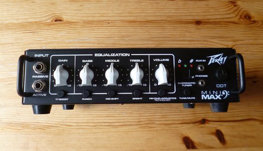 PEAVEY MiniMax (2).JPG