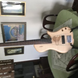 Fretless 5 Saiter " Bachbass"