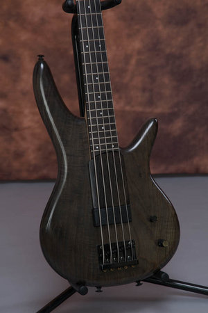 Ibanez GWB-2 (Fretted)