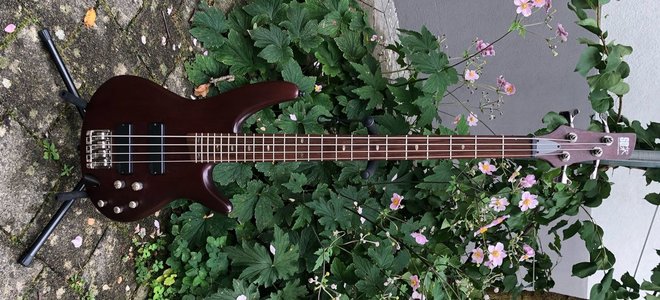 SR500.jpg