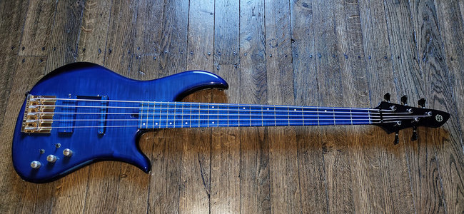 Noguera Harmonie Custom 5 (1).jpg