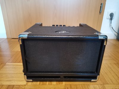 Phil Jones Bass Cub BG100