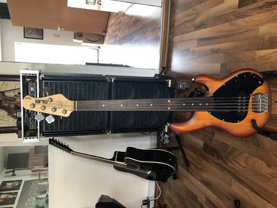 Music Man Sterling by Music Man SUB Ray 5 HB FRETLESS Honey Burst