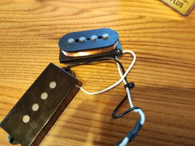 IMG_20221002_155701.jpg IMG_20221002_155701.jpg