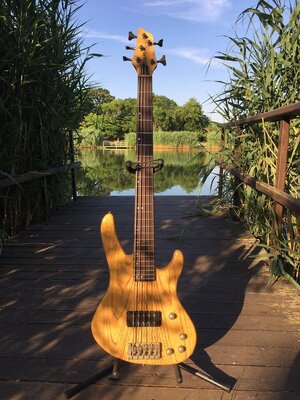 Washburn XB9005, Usa Custom Shop, Rare