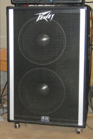 Suche Peavey 215D Bassbox