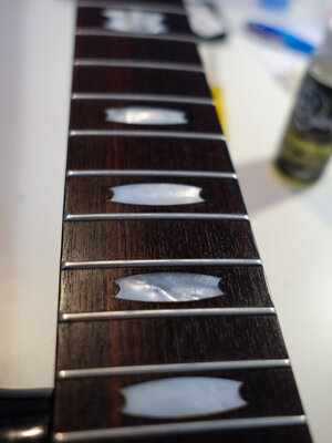 DSCF6531.jpg DSCF6531.jpg