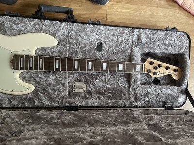 Fender Body Am Pro I - 1.JPG
