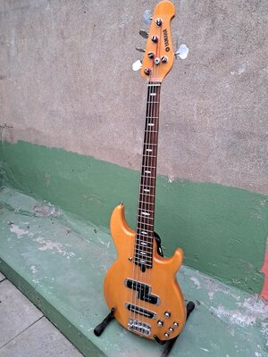 Yamaha BB 516
