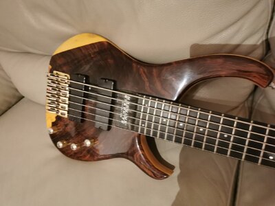 Modulus Quantum 6